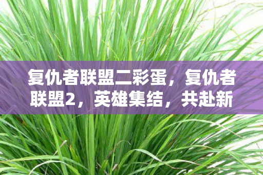 复仇者联盟二彩蛋，复仇者联盟2，英雄集结，共赴新挑战