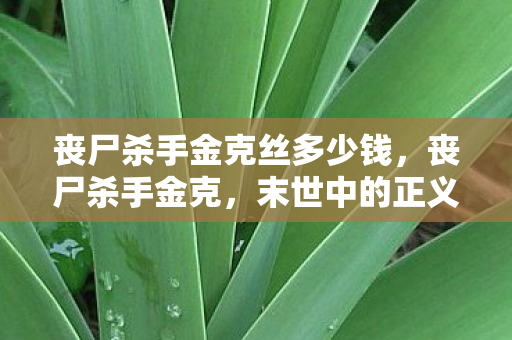 丧尸杀手金克丝多少钱，丧尸杀手金克，末世中的正义守护者