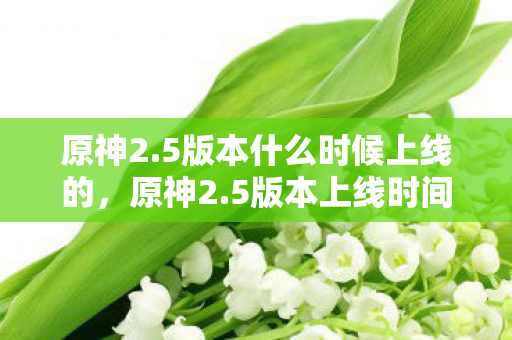 原神2.5版本什么时候上线的，原神2.5版本上线时间解析，期待与猜测的交汇
