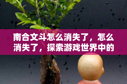 南合文斗怎么消失了，怎么消失了，探索游戏世界中的消失现象