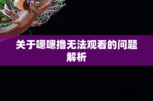 关于嗯嗯撸无法观看的问题解析 关于嗯嗯撸无法观看的问题解析