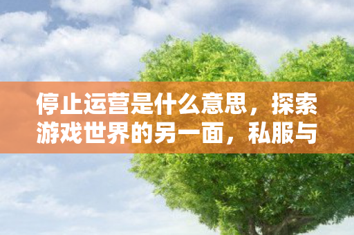 停止运营是什么意思，探索游戏世界的另一面，私服与官方服务器的独特体验对比