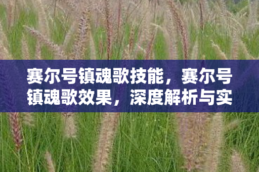 赛尔号镇魂歌技能，赛尔号镇魂歌效果，深度解析与实战应用