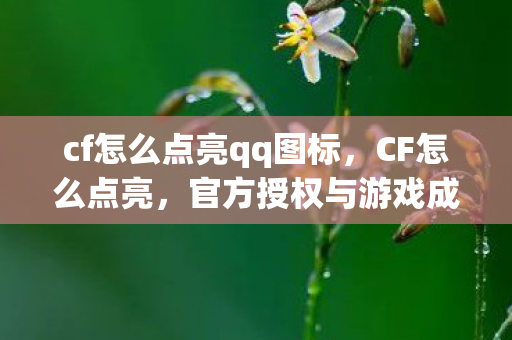 cf怎么点亮qq图标，CF怎么点亮，官方授权与游戏成就的获取指南