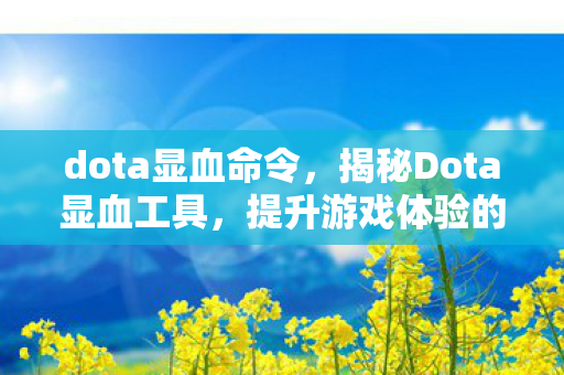 dota显血命令，揭秘Dota显血工具，提升游戏体验的实用利器