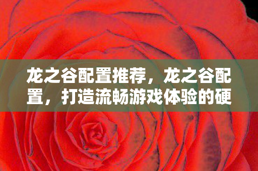 龙之谷配置推荐，龙之谷配置，打造流畅游戏体验的硬件指南