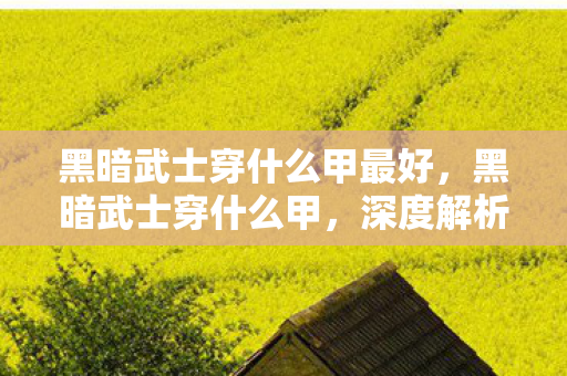 黑暗武士穿什么甲最好，黑暗武士穿什么甲，深度解析DNF中的职业装备选择