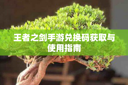王者之剑手游兑换码获取与使用指南
