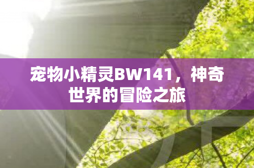 宠物小精灵BW141,神奇世界的冒险之旅 宠物小精灵BW141,神奇世界的冒险之旅