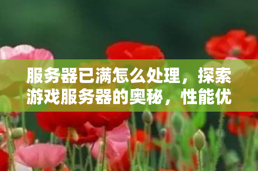 服务器已满怎么处理，探索游戏服务器的奥秘，性能优化与用户体验的极致追求
