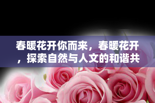 春暖花开你而来，春暖花开，探索自然与人文的和谐共生