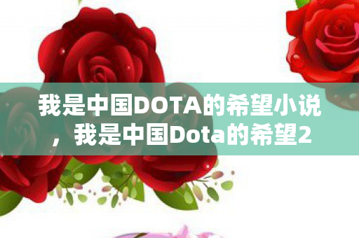 我是中国DOTA的希望小说，我是中国Dota的希望2