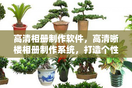 高清相册制作软件，高清晰楼相册制作系统，打造个性化视觉盛宴