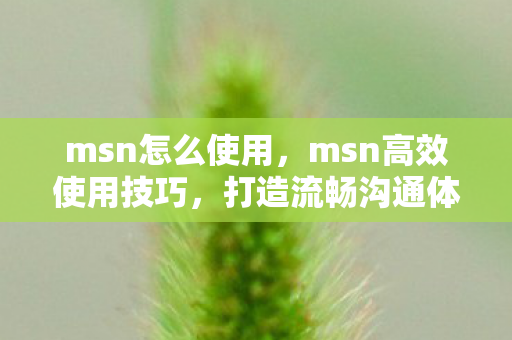 msn怎么使用，msn高效使用技巧，打造流畅沟通体验