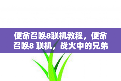 使命召唤8联机教程，使命召唤8 联机，战火中的兄弟情