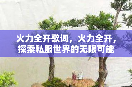 火力全开歌词，火力全开，探索私服世界的无限可能