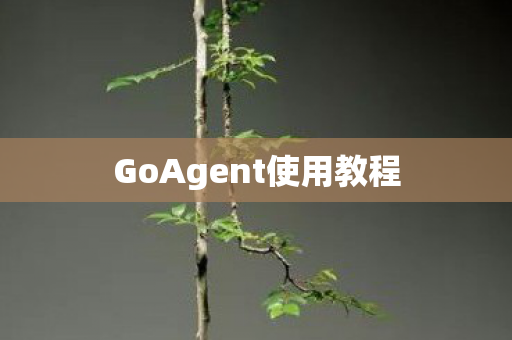 GoAgent使用教程