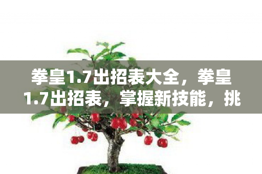 拳皇1.7出招表大全，拳皇1.7出招表，掌握新技能，挑战新高度