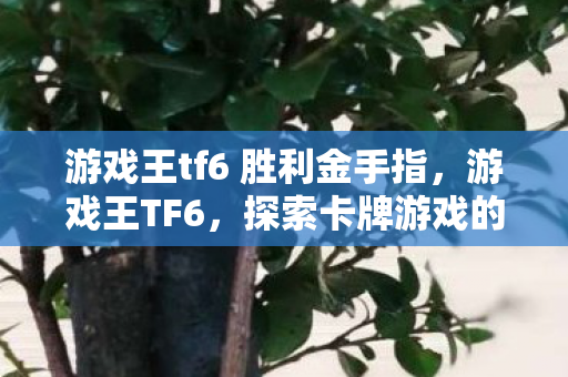 游戏王tf6 胜利金手指，游戏王TF6，探索卡牌游戏的深度与魅力