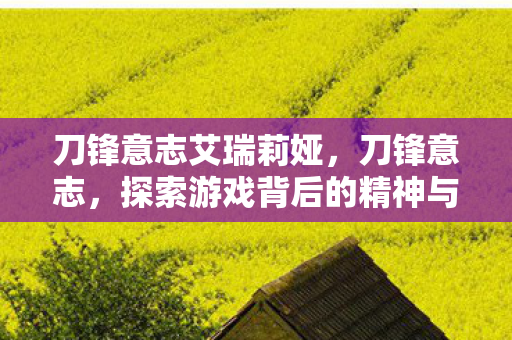 刀锋意志艾瑞莉娅，刀锋意志，探索游戏背后的精神与力量