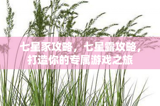 七星豕攻略，七星露攻略，打造你的专属游戏之旅