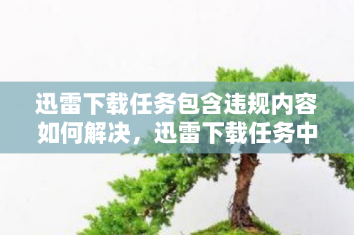 迅雷下载任务包含违规内容如何解决，迅雷下载任务中的灰色阴影，违规内容的隐秘角落