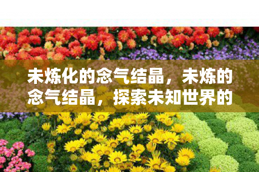 未炼化的念气结晶，未炼的念气结晶，探索未知世界的神秘力量