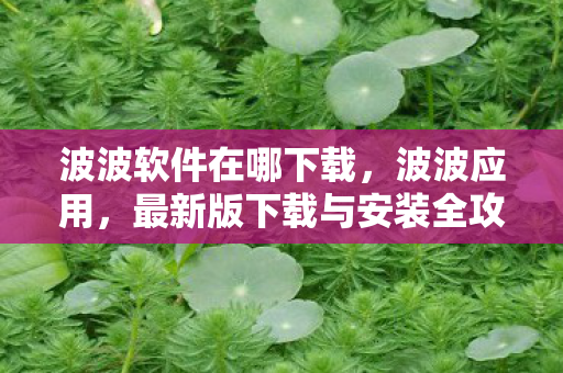 波波软件在哪下载，波波应用，最新版下载与安装全攻略