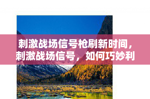 刺激战场信号枪刷新时间，刺激战场信号，如何巧妙利用信号区，提升生存与竞技水平