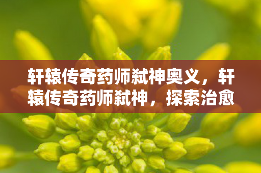 轩辕传奇药师弑神奥义，轩辕传奇药师弑神，探索治愈与毁灭的边界