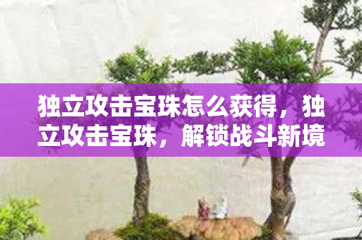 独立攻击宝珠怎么获得，独立攻击宝珠，解锁战斗新境界的秘宝