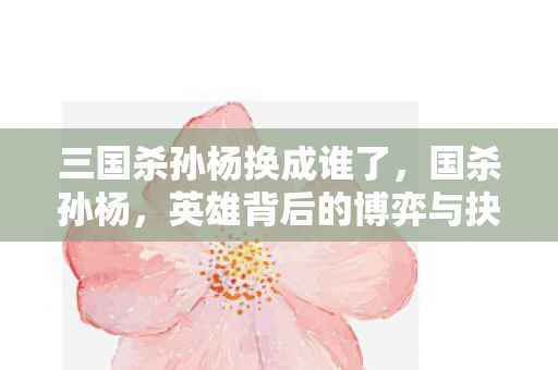 三国杀孙杨换成谁了，国杀孙杨，英雄背后的博弈与抉择