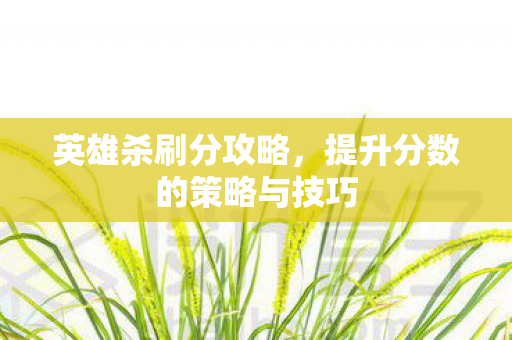 英雄杀刷分攻略，提升分数的策略与技巧