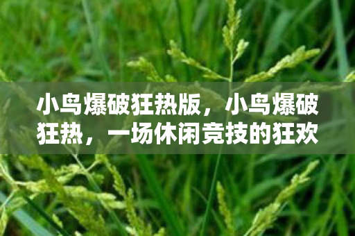 小鸟爆破狂热版，小鸟爆破狂热，一场休闲竞技的狂欢