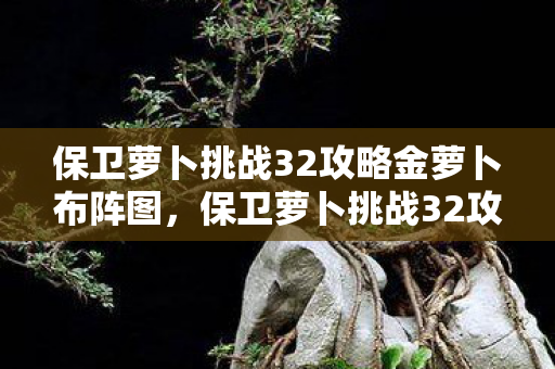 保卫萝卜挑战32攻略金萝卜布阵图，保卫萝卜挑战32攻略，策略与技巧