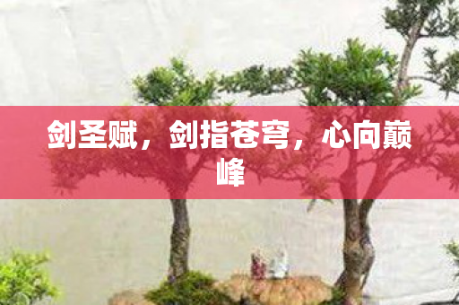 剑圣赋，剑指苍穹，心向巅峰