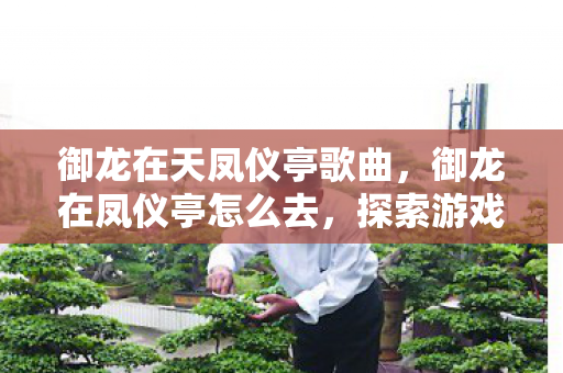 御龙在天凤仪亭歌曲，御龙在凤仪亭怎么去，探索游戏世界的神秘之旅