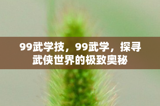 99武学技，99武学，探寻武侠世界的极致奥秘