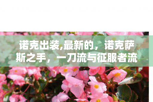 诺克出装,最新的，诺克萨斯之手，一刀流与征服者流的出装策略
