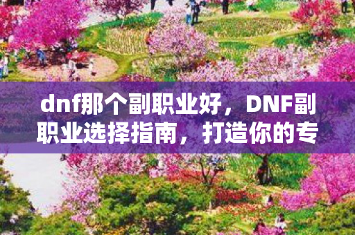 dnf那个副职业好，DNF副职业选择指南，打造你的专属职业之路