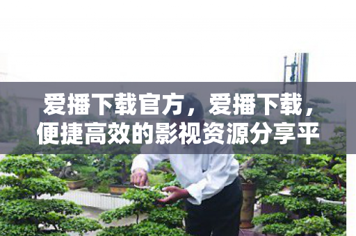 爱播下载官方，爱播下载，便捷高效的影视资源分享平台