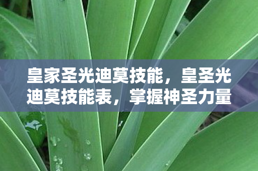 皇家圣光迪莫技能，皇圣光迪莫技能表，掌握神圣力量，引领战斗新纪元