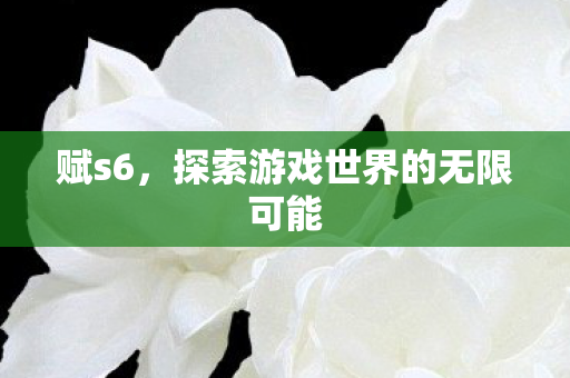 赋s6，探索游戏世界的无限可能