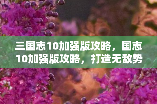 三国志10加强版攻略，国志10加强版攻略，打造无敌势力的全面指南