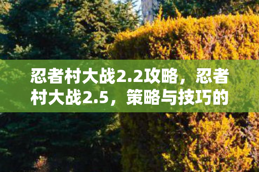 忍者村大战2.2攻略，忍者村大战2.5，策略与技巧的完美融合