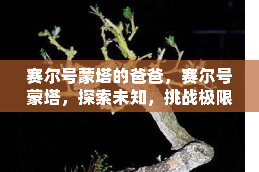 赛尔号蒙塔的爸爸，赛尔号蒙塔，探索未知，挑战极限