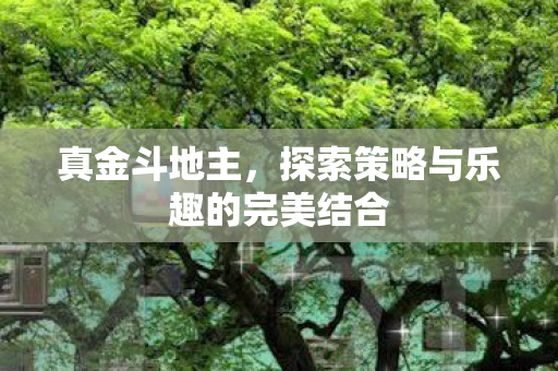 真金斗地主，探索策略与乐趣的完美结合