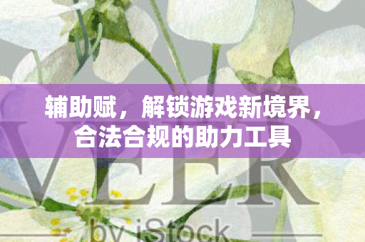 辅助赋，解锁游戏新境界，合法合规的助力工具