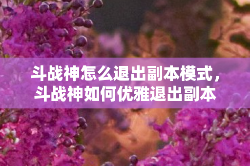 斗战神怎么退出副本模式，斗战神如何优雅退出副本