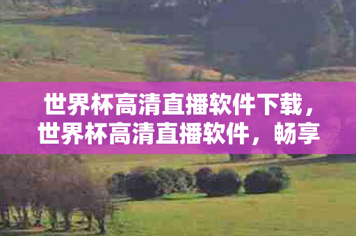 世界杯高清直播软件下载，世界杯高清直播软件，畅享绿茵盛宴，尽享高清画质